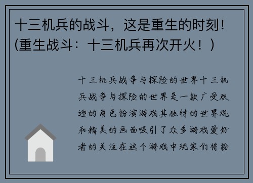 十三机兵的战斗，这是重生的时刻！(重生战斗：十三机兵再次开火！)